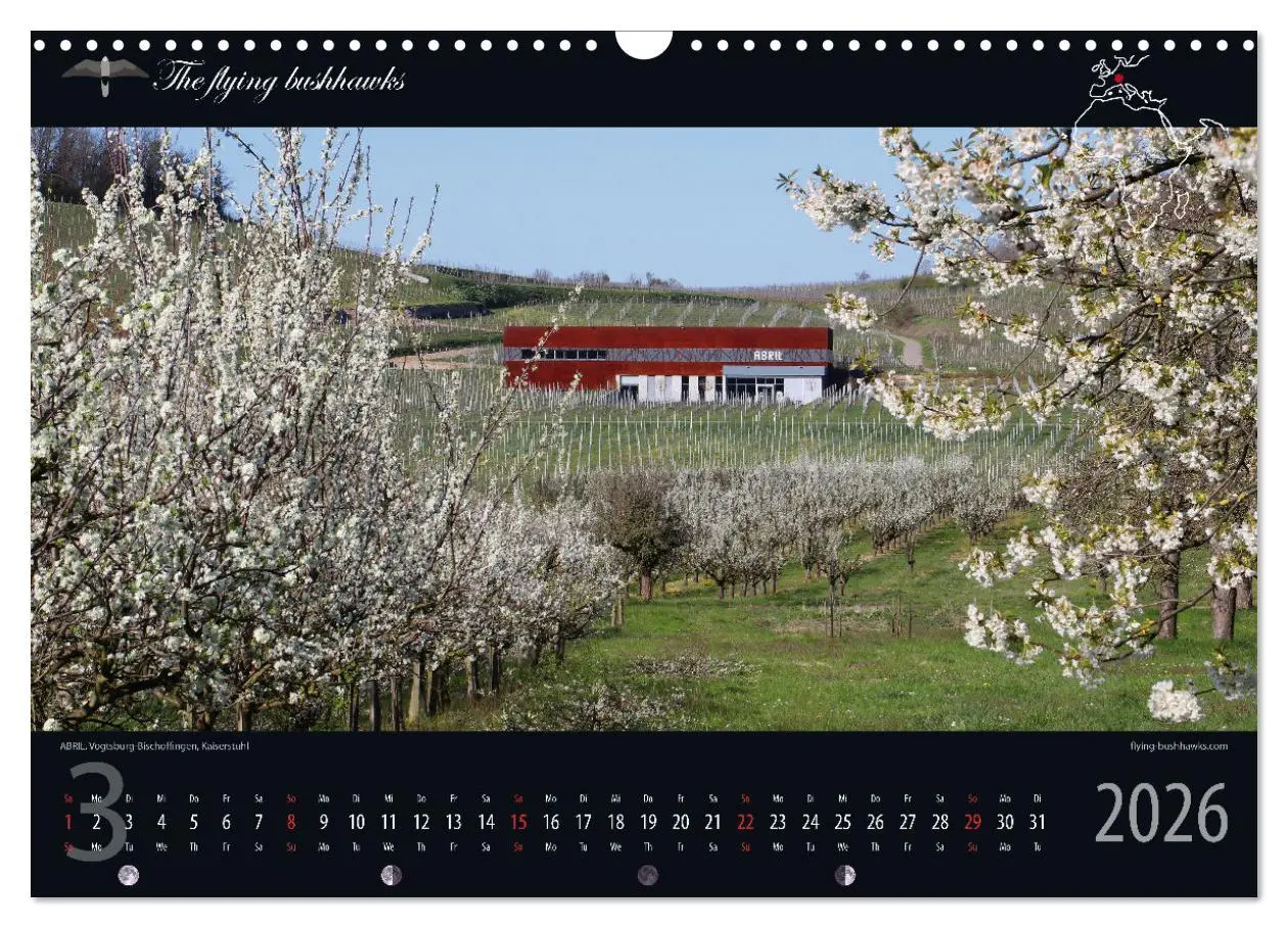 Bild: 9783457279274 | Wein &amp; Architektur 2026 (Wandkalender 2026 DIN A3 quer), CALVENDO...