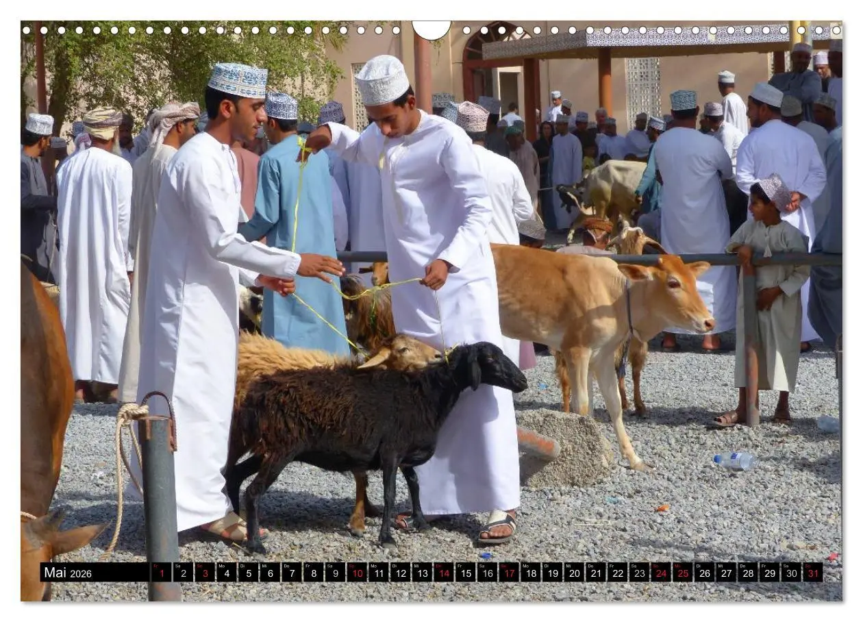 Bild: 9783516059274 | Faszinierendes Reiseland Oman (Wandkalender 2026 DIN A3 quer),...
