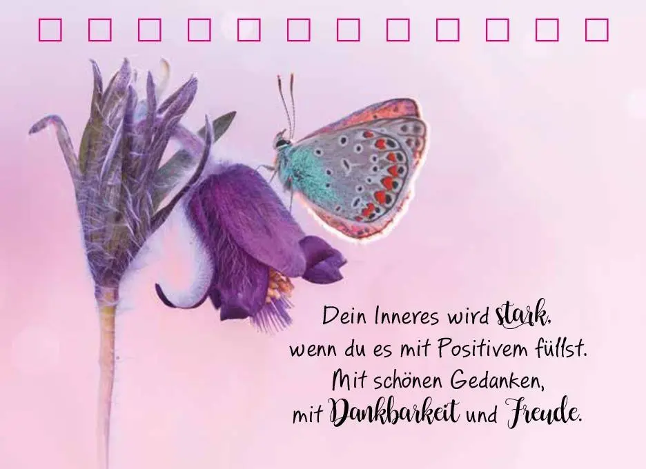 Bild: 9783625199274 | Ich wünsche dir Kraft für jeden Tag | Buch | 64 S. | Deutsch | 2026