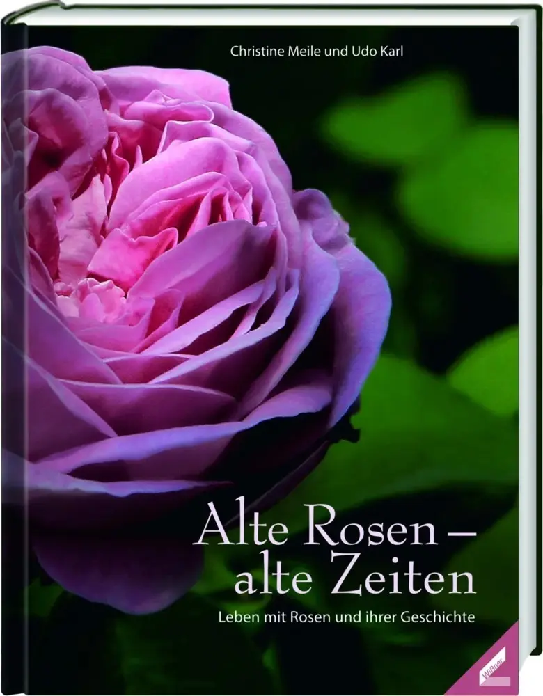 Cover: 9783867519274 | Alte Rosen - alte Zeiten | Leben mit Rosen und ihrer Geschichte | Buch