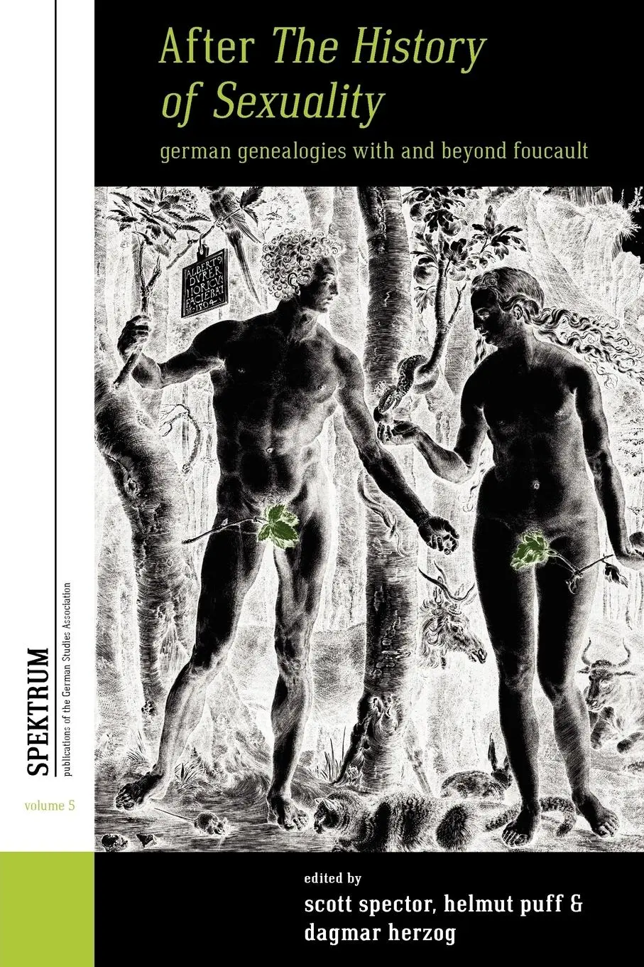 Cover: 9780857459374 | After The History of Sexuality | Scott Spector (u. a.) | Taschenbuch