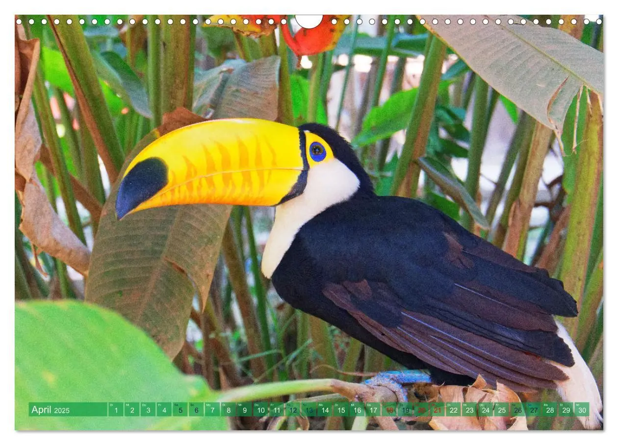 Bild: 9783457199374 | Entdecke Bolivien (Wandkalender 2025 DIN A3 quer), CALVENDO...