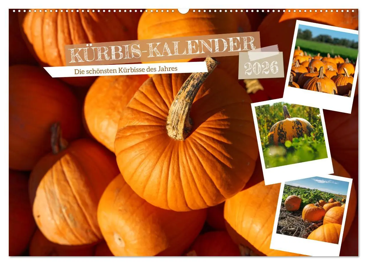 Cover: 9783457339374 | KÜRBIS KALENDER - Die schönsten Kürbisse des Jahres (Wandkalender...