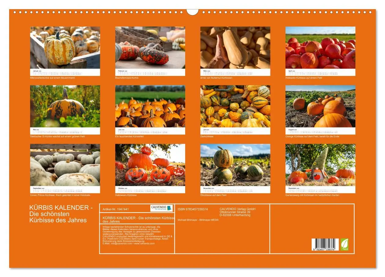 Bild: 9783457339374 | KÜRBIS KALENDER - Die schönsten Kürbisse des Jahres (Wandkalender...