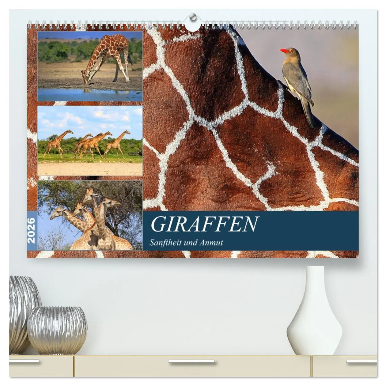 Cover: 9783516049374 | Giraffen - Sanftheit und Anmut (hochwertiger Premium Wandkalender...