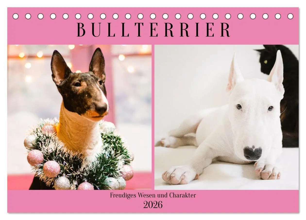 Cover: 9783457569474 | Bullterrier. Freudiges Wesen und Charakter (Tischkalender 2026 DIN...