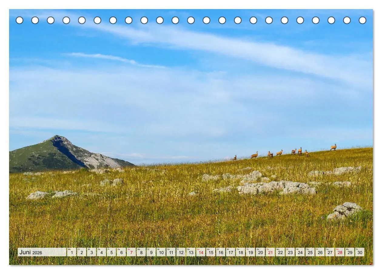 Bild: 9783457709474 | ALPEN BLICK (Tischkalender 2026 DIN A5 quer), CALVENDO Monatskalender