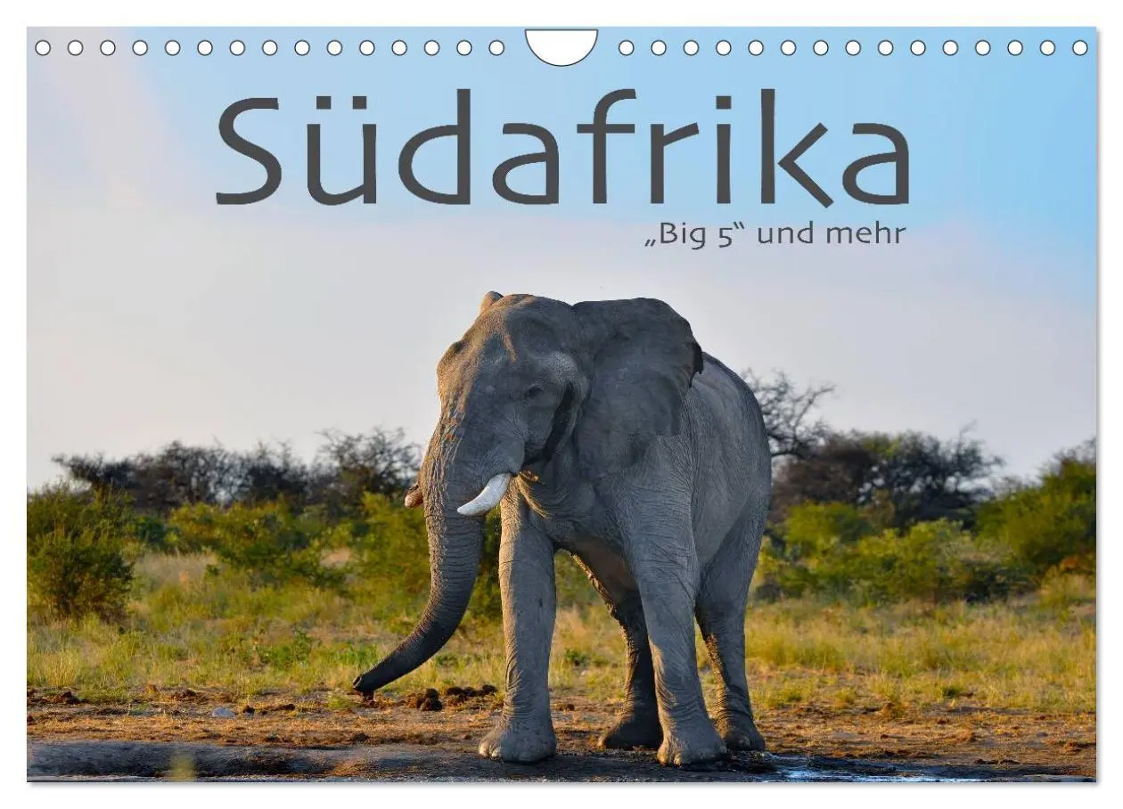 Cover: 9783457949474 | Südafrika - Big 5 und mehr (Wandkalender 2026 DIN A4 quer),...