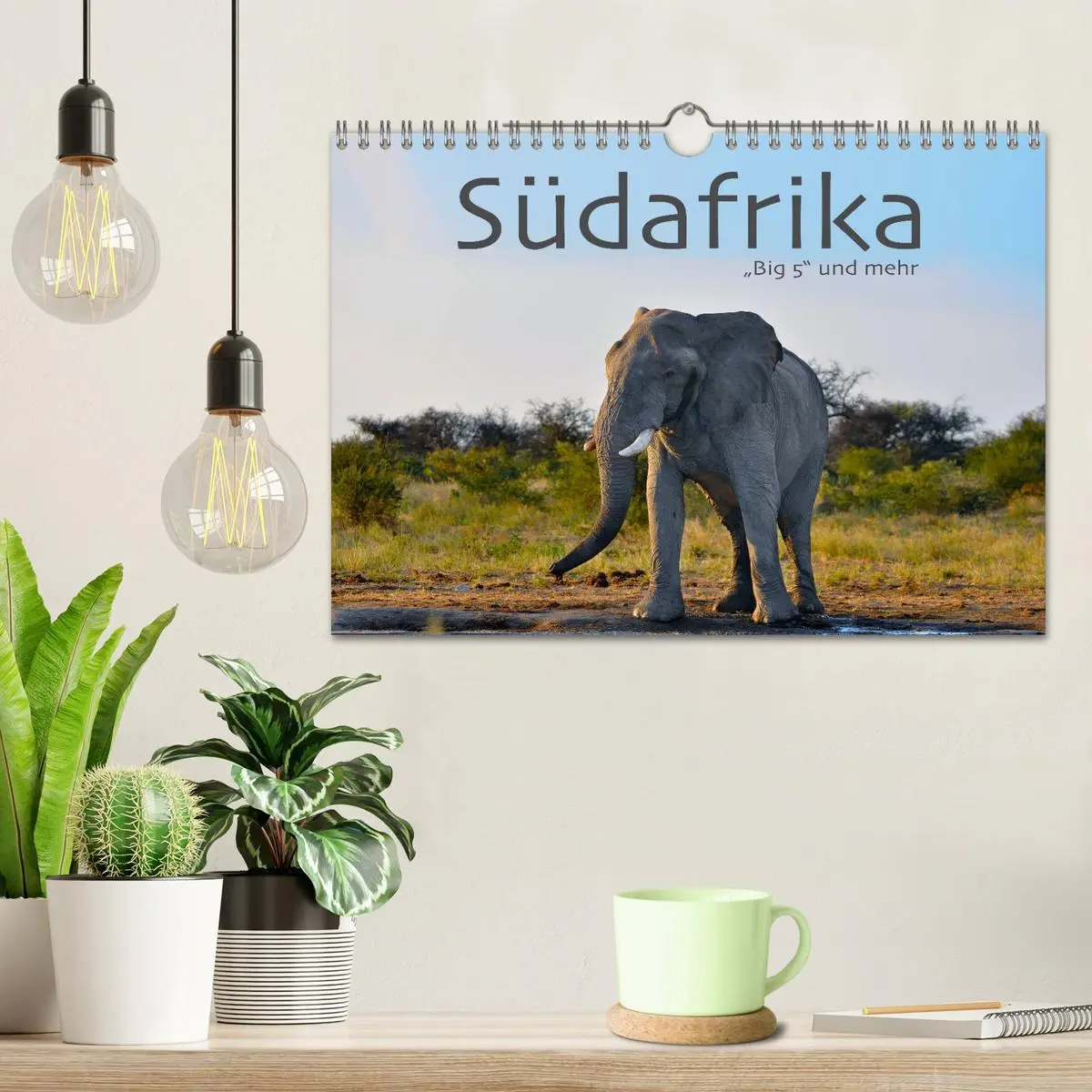 Bild: 9783457949474 | Südafrika - Big 5 und mehr (Wandkalender 2026 DIN A4 quer),...