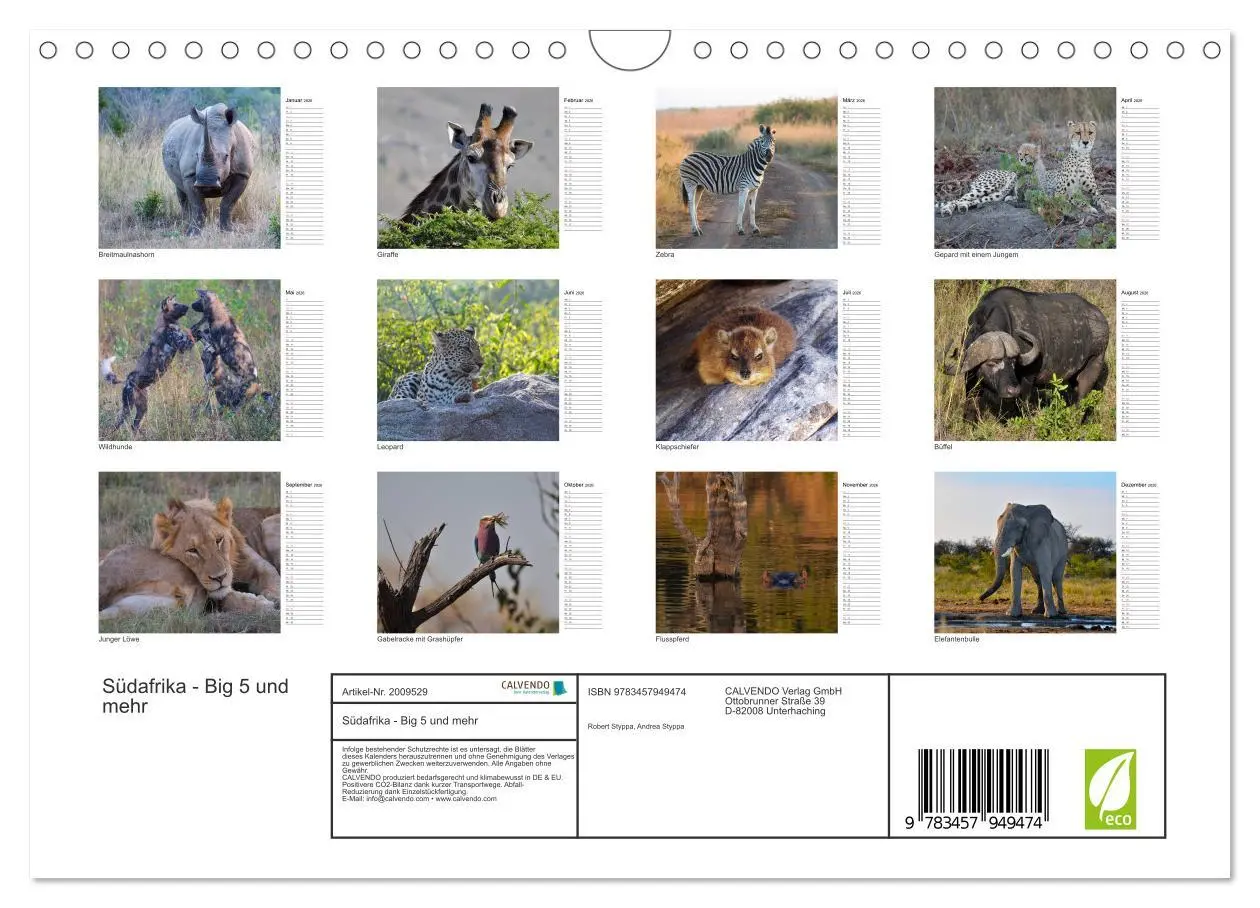 Bild: 9783457949474 | Südafrika - Big 5 und mehr (Wandkalender 2026 DIN A4 quer),...