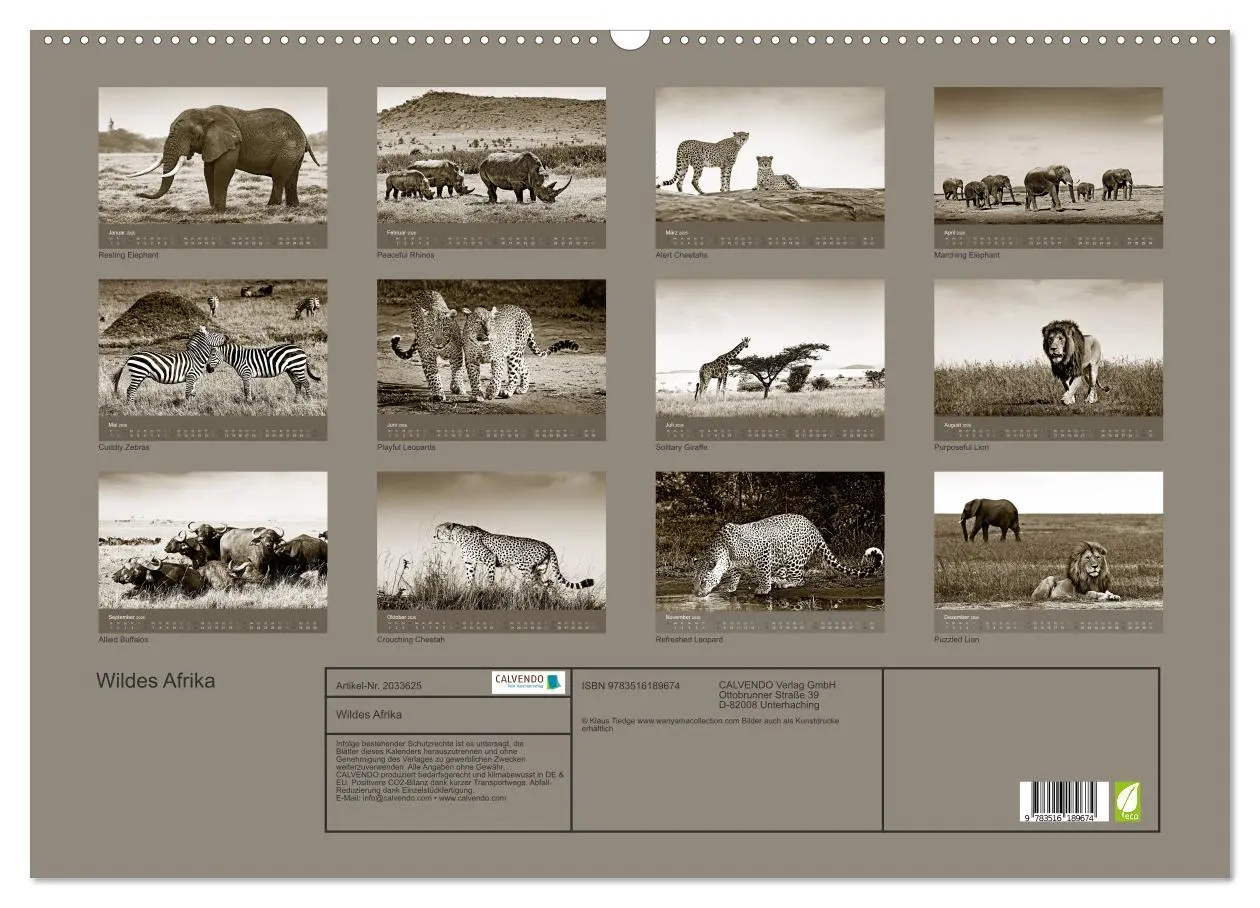 Bild: 9783516189674 | Wildes Afrika (Wandkalender 2026 DIN A2 quer), CALVENDO Monatskalender