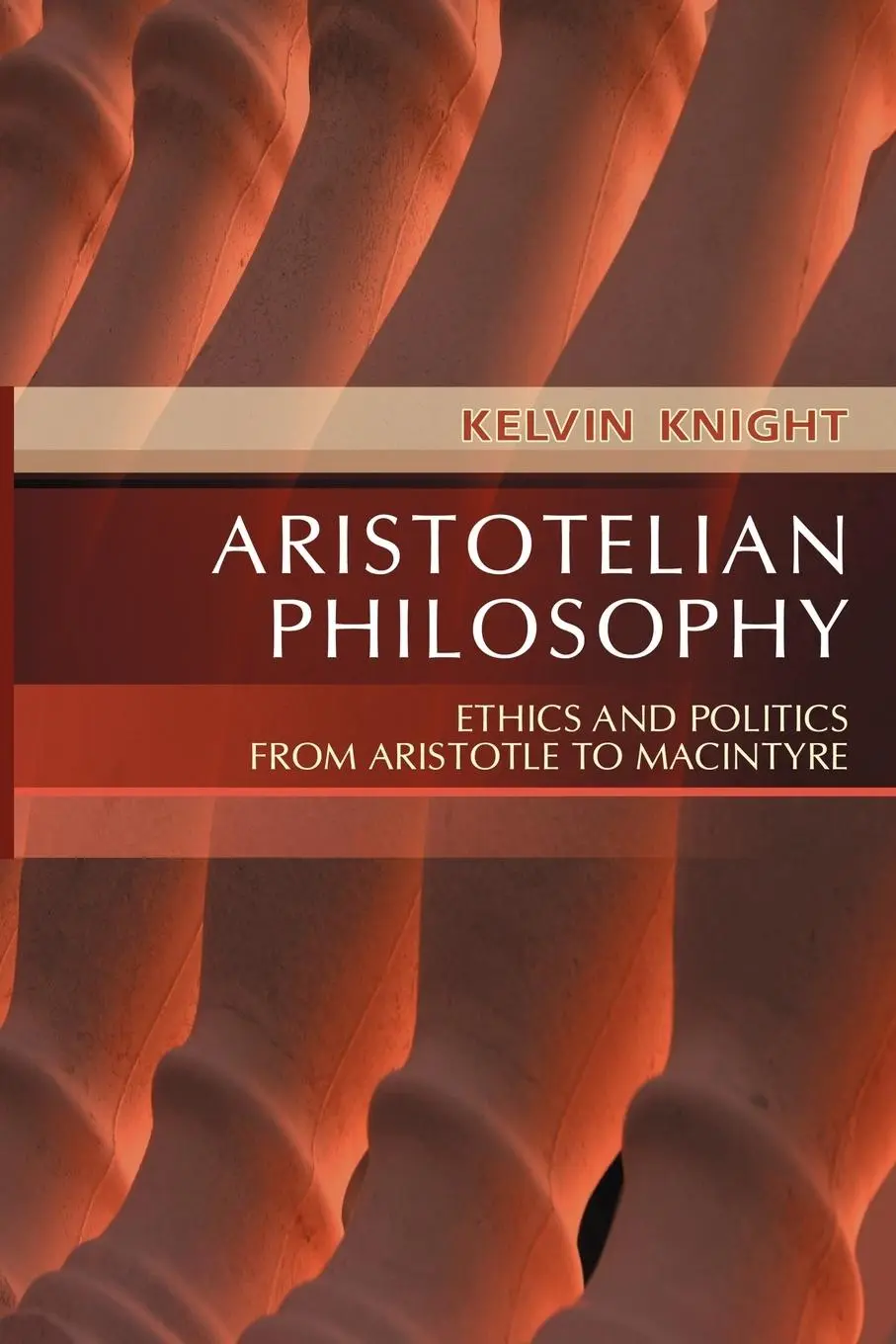 Cover: 9780745619774 | Aristotelian Philosophy | Kelvin Knight | Taschenbuch | Englisch