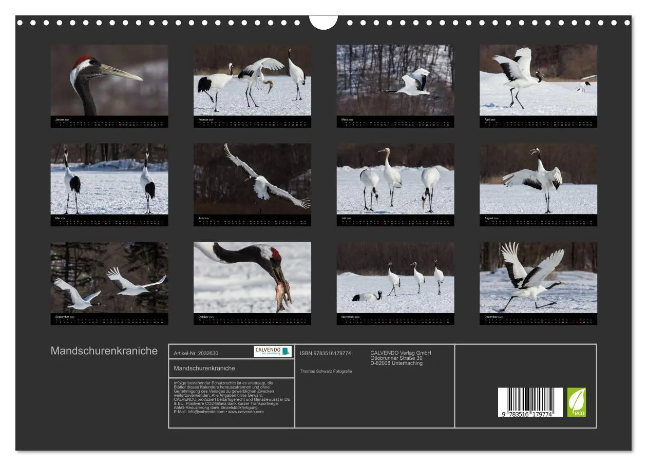 Bild: 9783516179774 | Mandschurenkraniche (Wandkalender 2026 DIN A3 quer), CALVENDO...