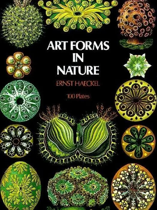 Cover: 9780486229874 | Art Forms in Nature | Ernst Haeckel | Taschenbuch | Englisch