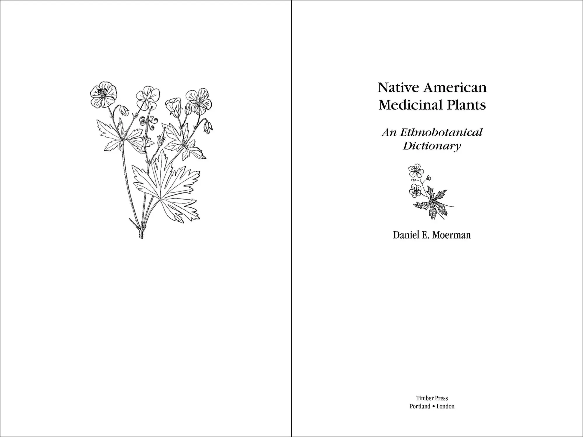 Bild: 9780881929874 | Native American Medicinal Plants | An Ethnobotanical Dictionary | Buch