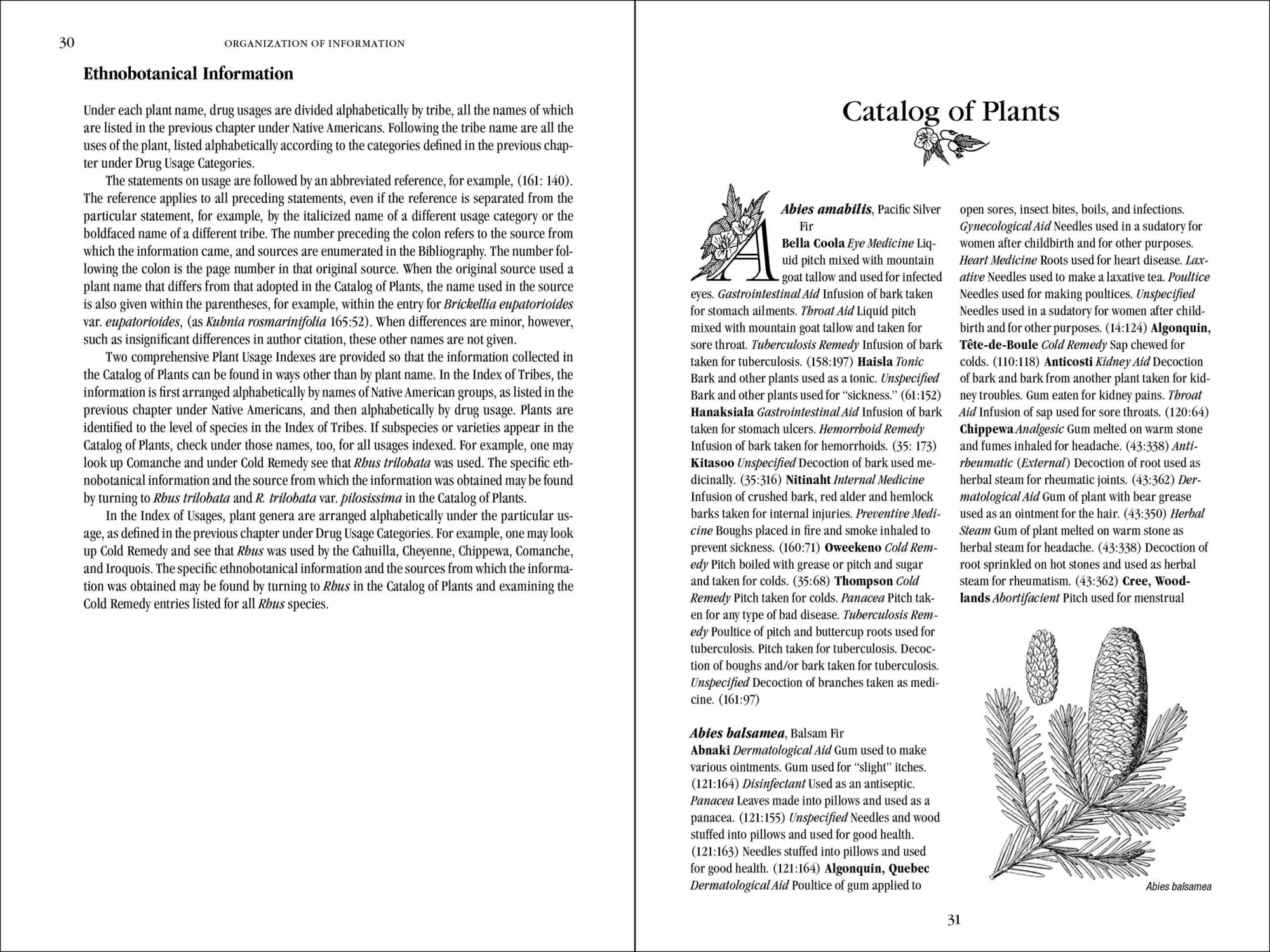 Bild: 9780881929874 | Native American Medicinal Plants | An Ethnobotanical Dictionary | Buch