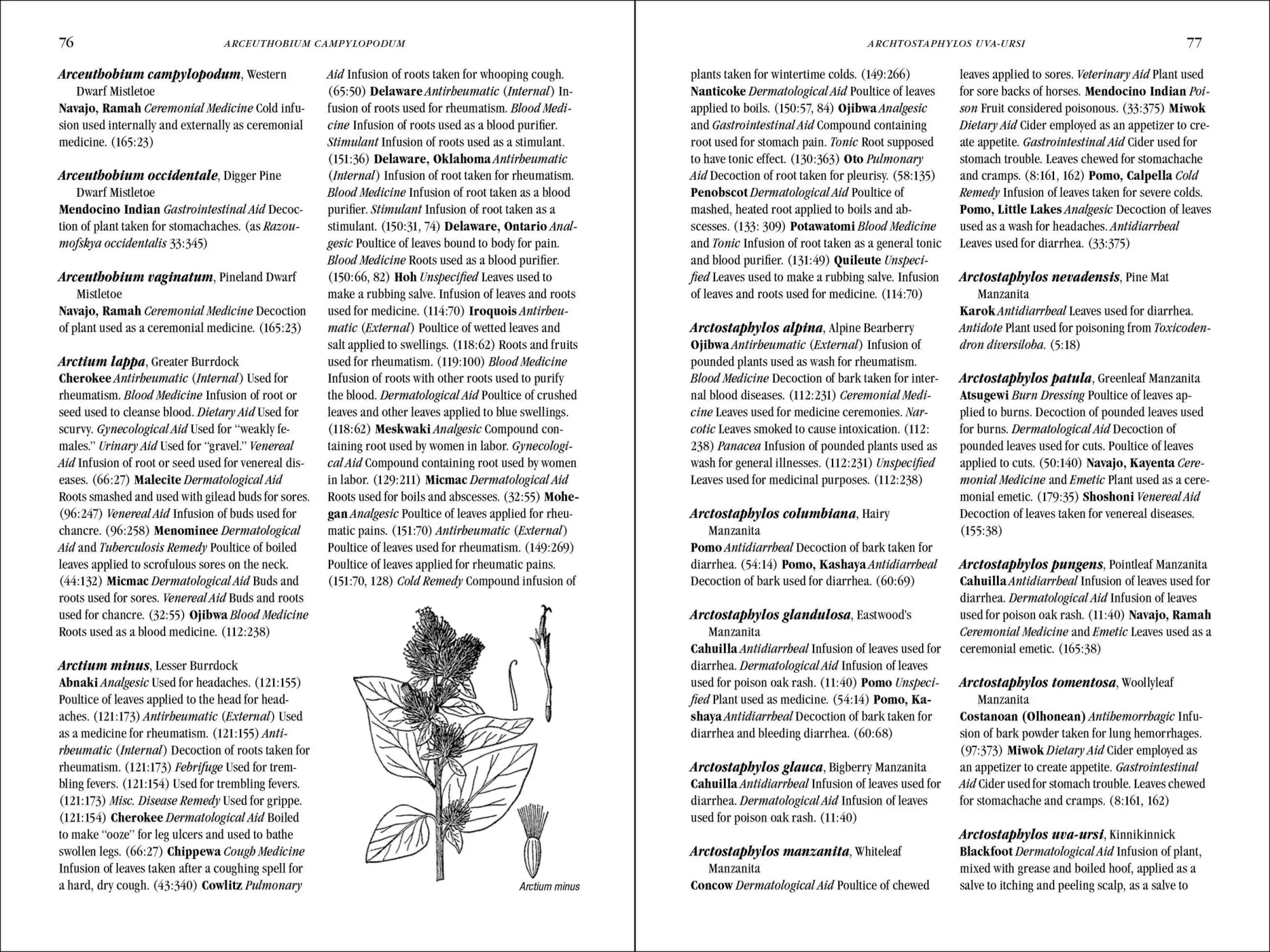 Bild: 9780881929874 | Native American Medicinal Plants | An Ethnobotanical Dictionary | Buch