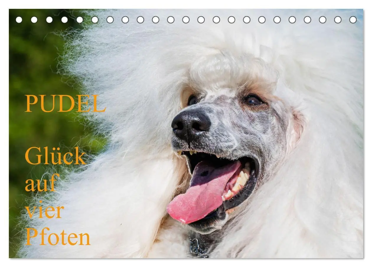 Cover: 9783457389874 | Pudel - Glück auf vier Pfoten (Tischkalender 2026 DIN A5 quer),...