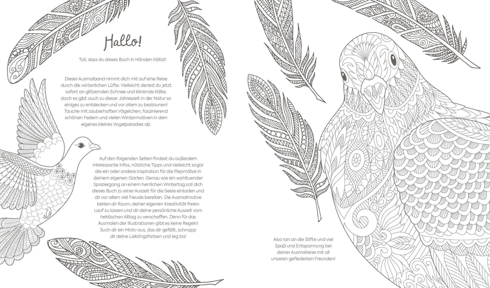 Bild: 9783745929874 | Ausmalreise Winterliche Vogelwelt | Edition Michael Fischer | Buch