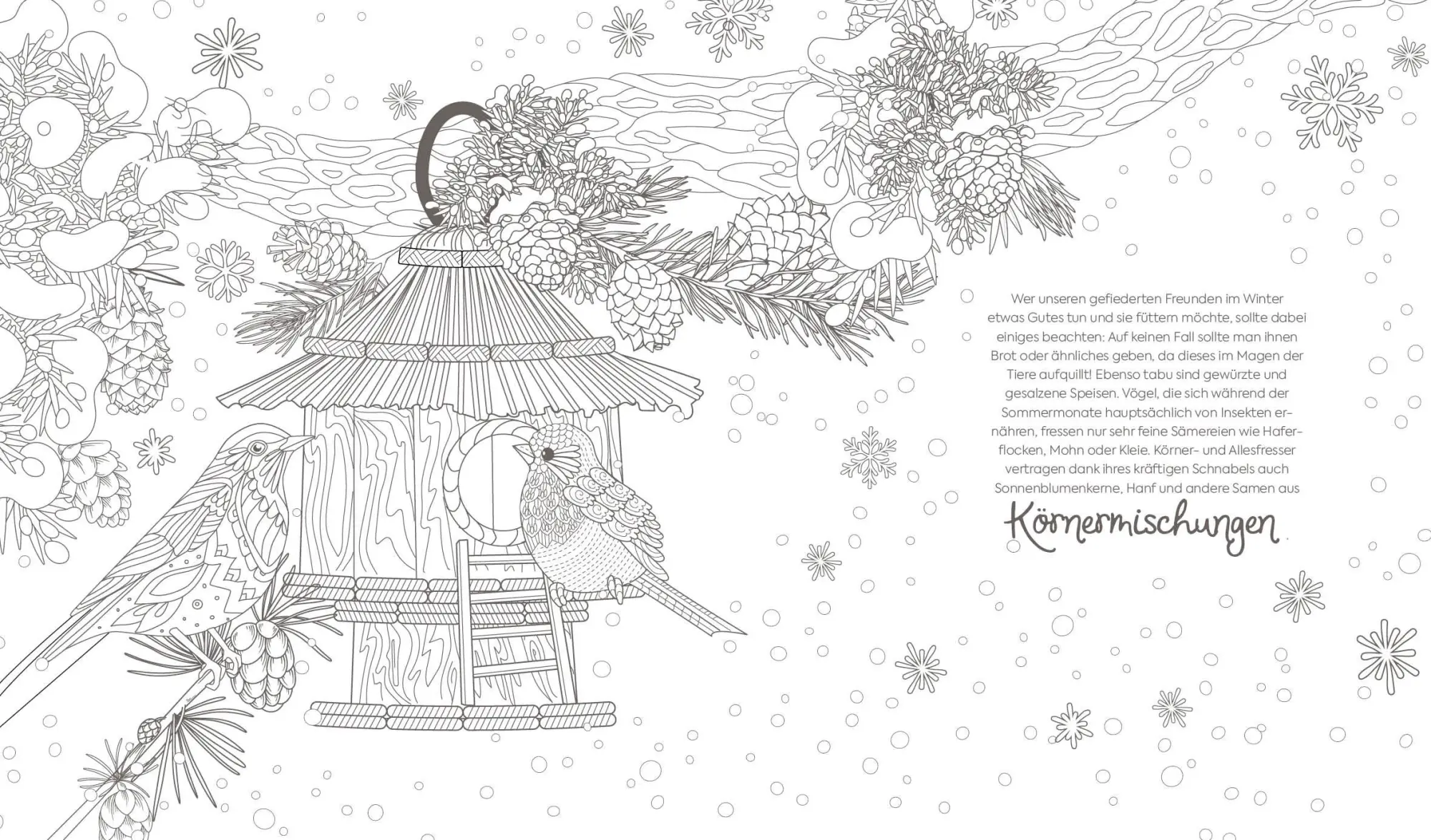 Bild: 9783745929874 | Ausmalreise Winterliche Vogelwelt | Edition Michael Fischer | Buch
