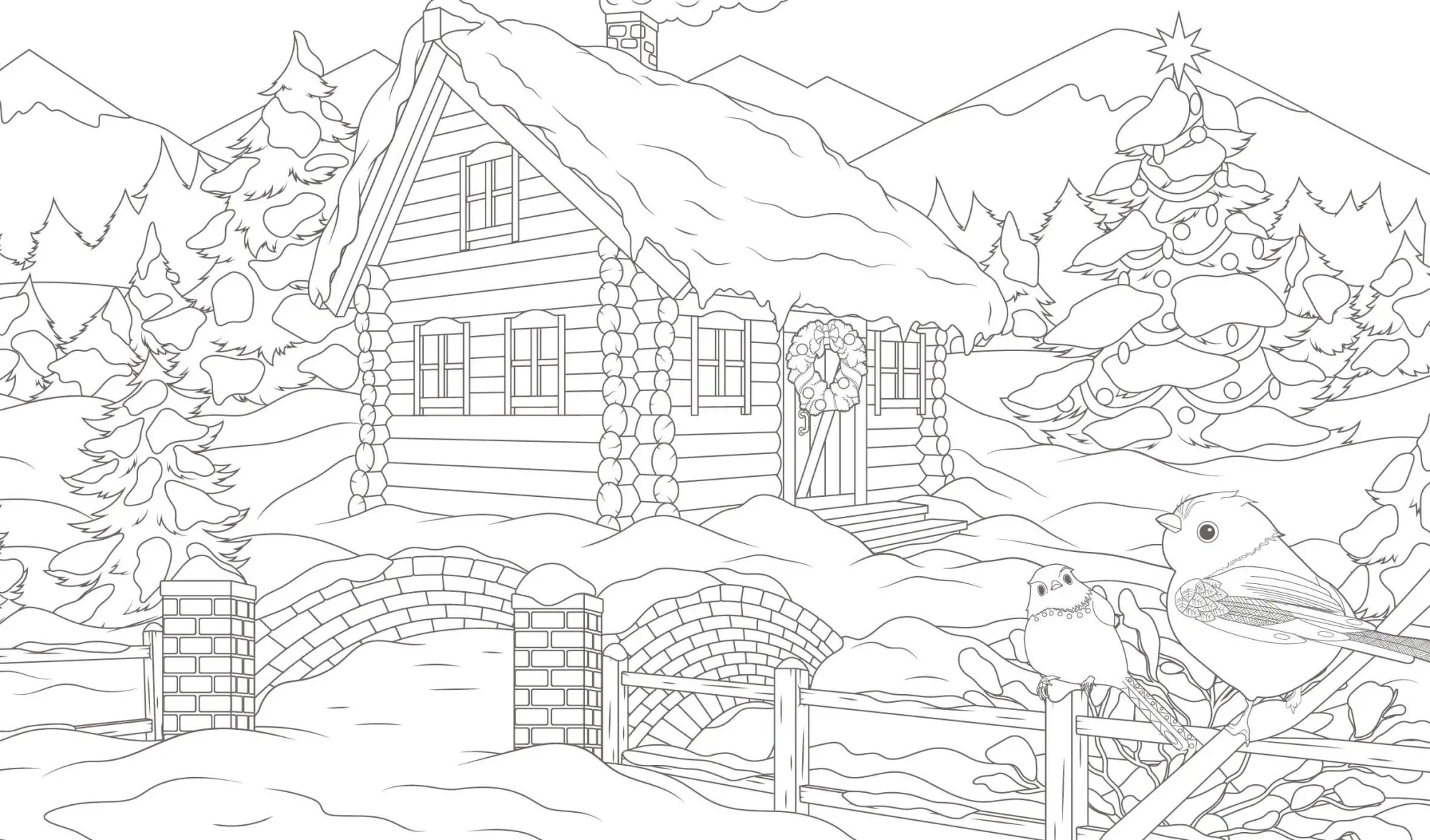 Bild: 9783745929874 | Ausmalreise Winterliche Vogelwelt | Edition Michael Fischer | Buch