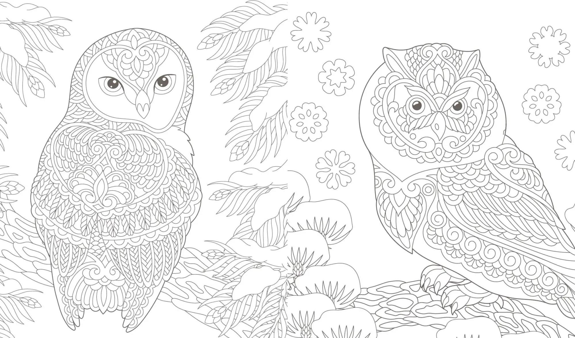 Bild: 9783745929874 | Ausmalreise Winterliche Vogelwelt | Edition Michael Fischer | Buch