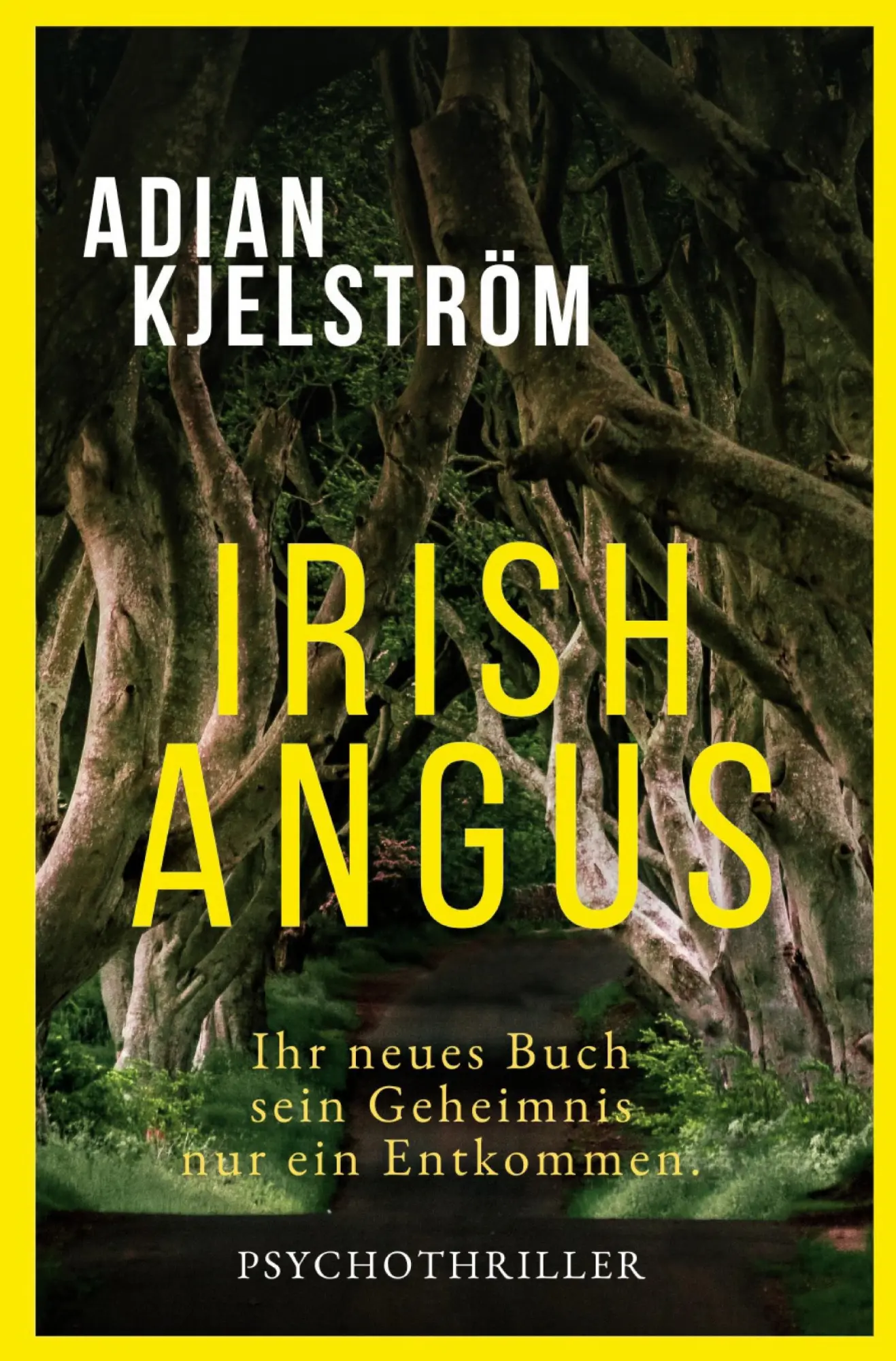 Cover: 9783819419874 | Irish Angus | Ein Irland Thriller | Adian Kjelström | Taschenbuch