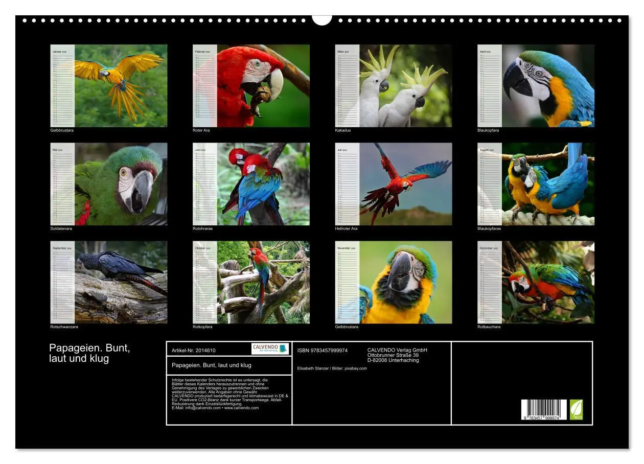 Bild: 9783457999974 | Papageien. Bunt, laut und klug (Wandkalender 2026 DIN A2 quer),...