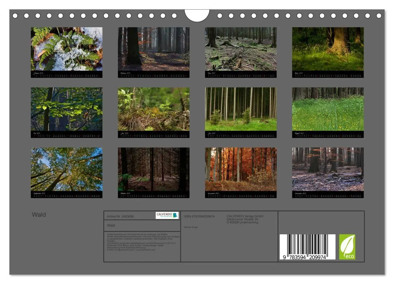 Bild: 9783594209974 | Wald (Wandkalender 2027 DIN A4 quer), CALVENDO Monatskalender | Gruse