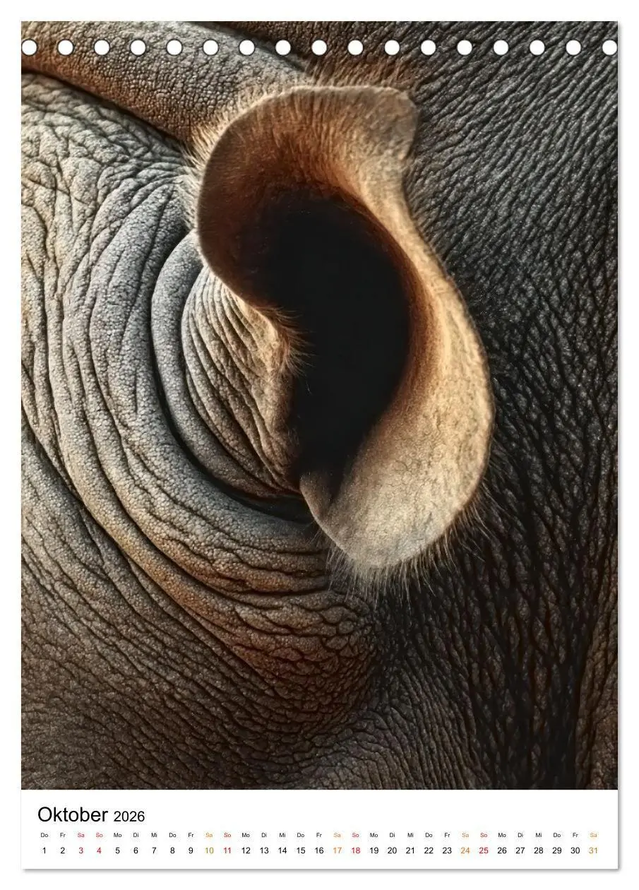 Bild: 9783516720075 | Nashorn - Stark. Stur. Schnell. (Tischkalender 2026 DIN A5 hoch),...