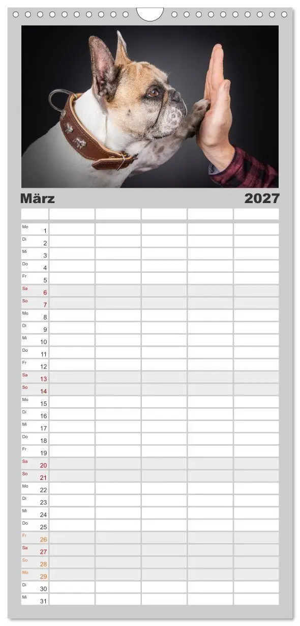 Bild: 9783594320075 | Familienplaner 2027 - Bullymania - Französische Bulldoggen mit 5...