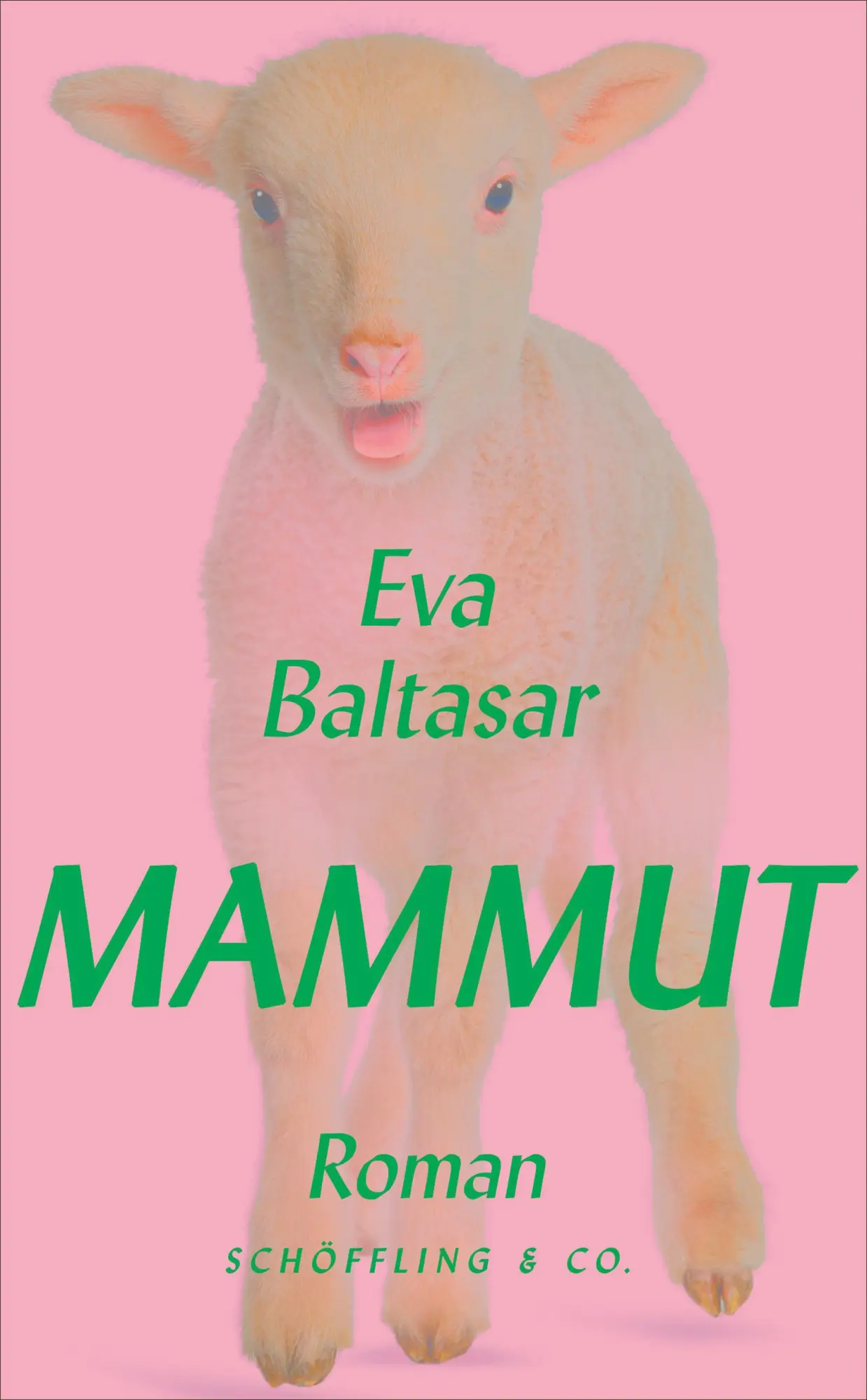 Cover: 9783690970075 | Mammut | Roman | Eva Baltasar | Buch | 112 S. | Deutsch | 2025