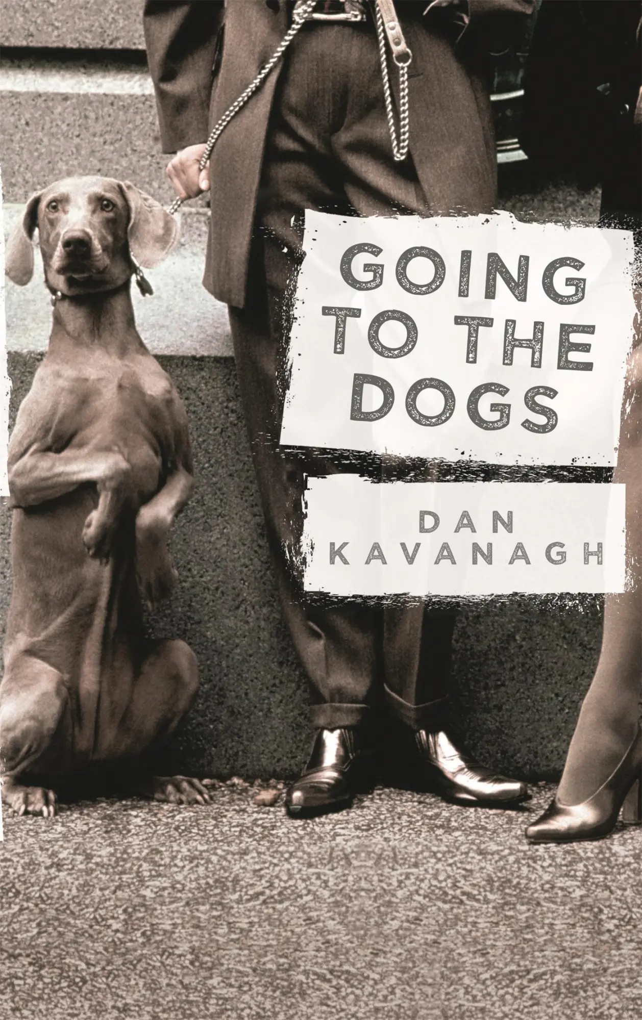 Cover: 9781409150275 | Going to the Dogs | Dan Kavanagh | Taschenbuch | Englisch | 2015
