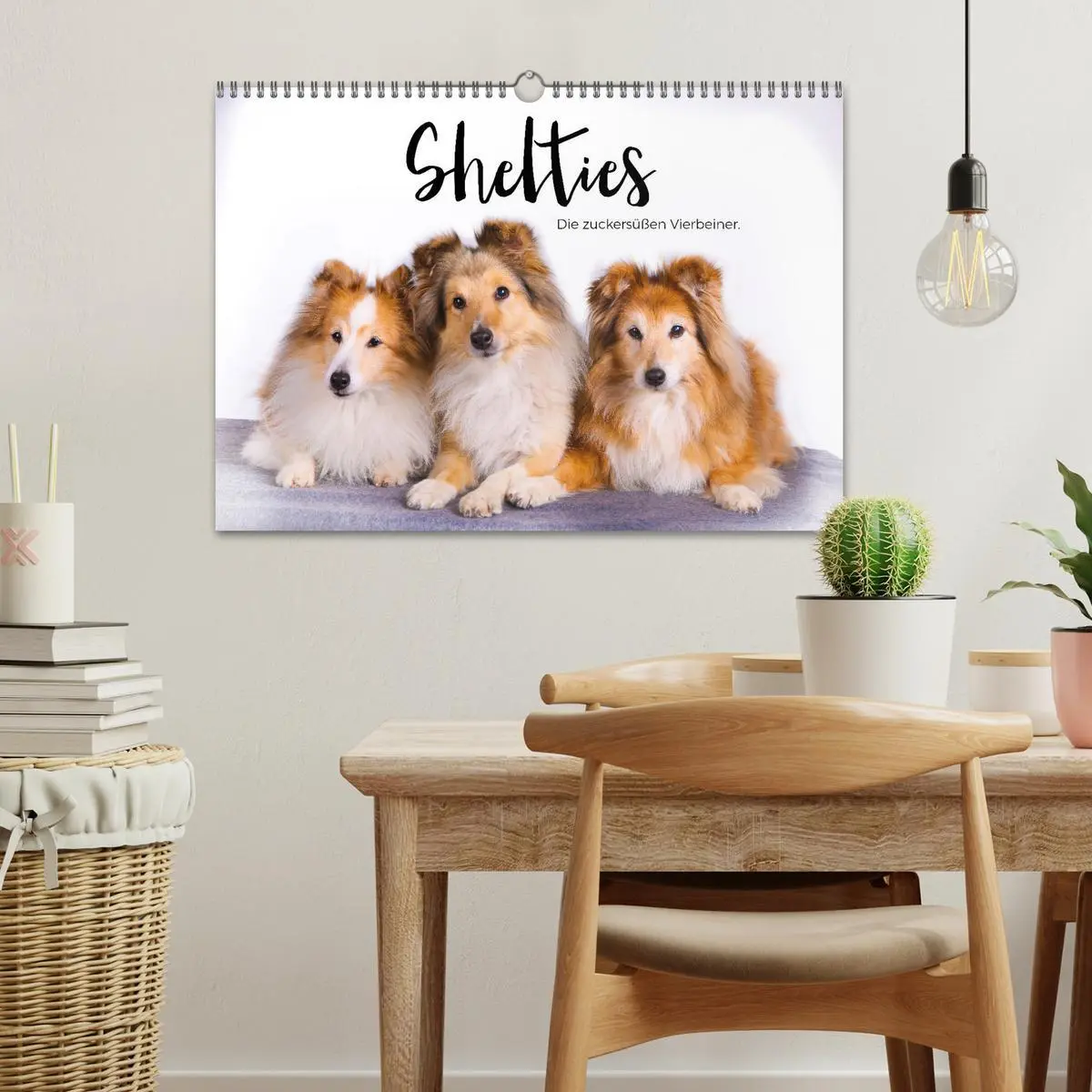 Bild: 9783457540275 | Shelties - Die zuckersüßen Vierbeiner. (Wandkalender 2026 DIN A3...