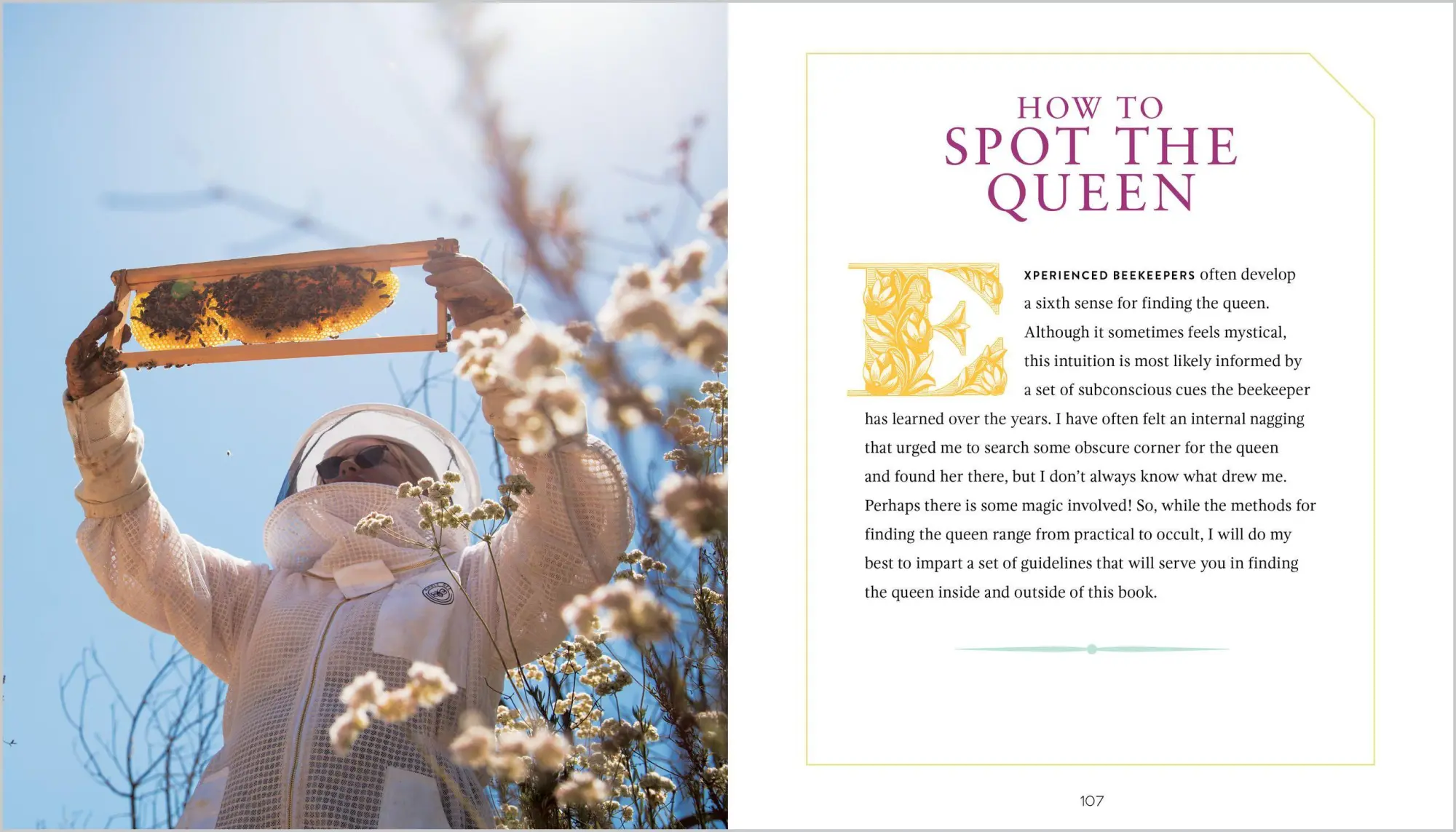 Bild: 9781635860375 | Queenspotting | Hilary Kearney | Buch | Gebunden | Englisch | 2019