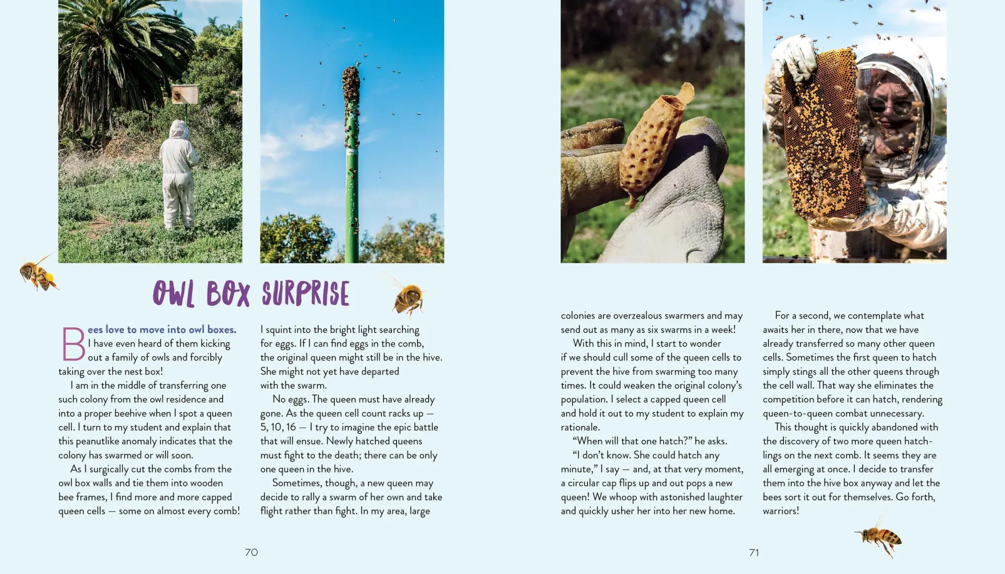 Bild: 9781635860375 | Queenspotting | Hilary Kearney | Buch | Gebunden | Englisch | 2019