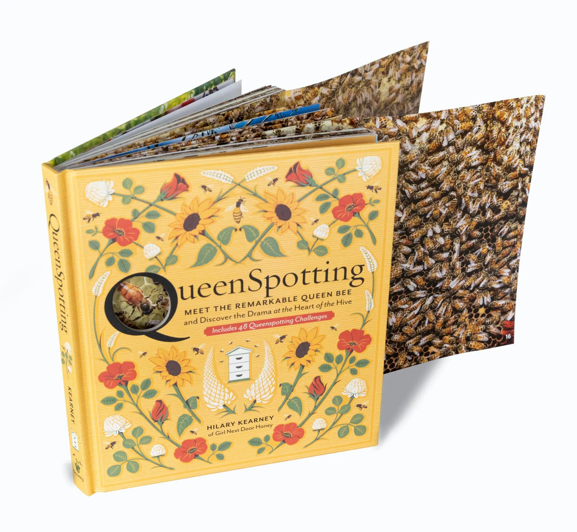 Bild: 9781635860375 | Queenspotting | Hilary Kearney | Buch | Gebunden | Englisch | 2019
