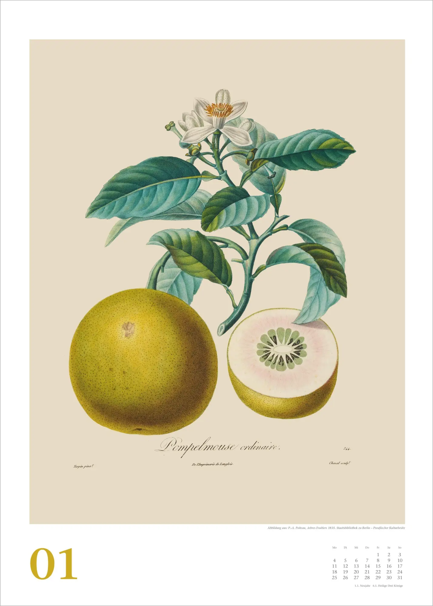 Bild: 4069095010475 | Alte Obstsorten 2027 | Neumann Verlage GmbH &amp; Co KG | Kalender | 14 S.