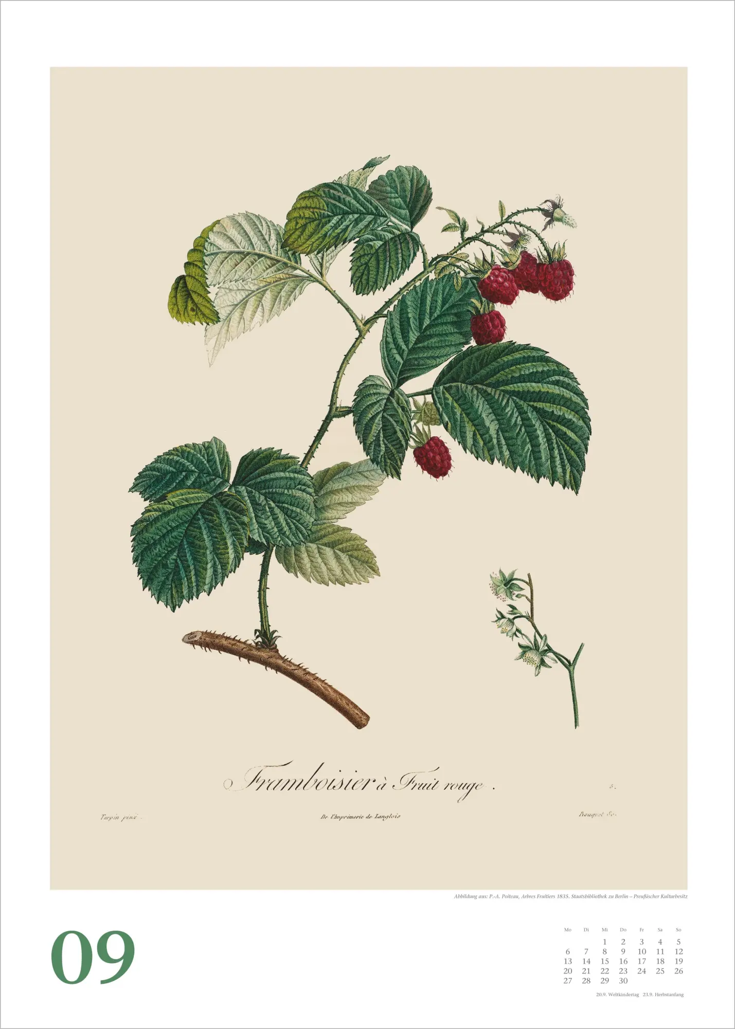 Bild: 4069095010475 | Alte Obstsorten 2027 | Neumann Verlage GmbH &amp; Co KG | Kalender | 14 S.