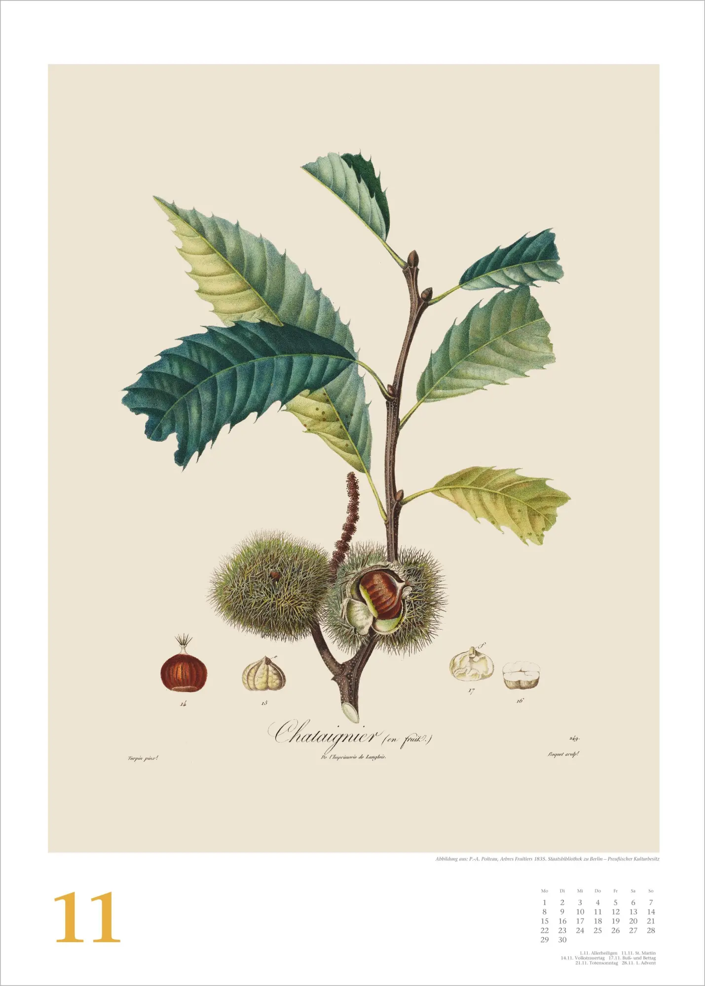 Bild: 4069095010475 | Alte Obstsorten 2027 | Neumann Verlage GmbH &amp; Co KG | Kalender | 14 S.