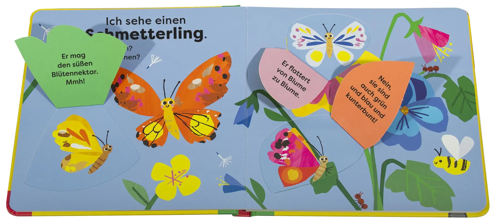 Bild: 9783831050475 | Mein erstes Natur-Entdeckerbuch. Da! Eine Schnecke | DK Verlag - Kids
