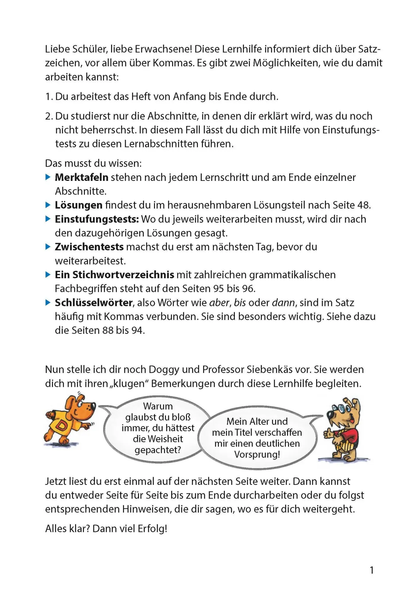 Bild: 9783881000475 | Zeichensetzung ab 6. Klasse und für Erwachsene | Gerhard Widmann