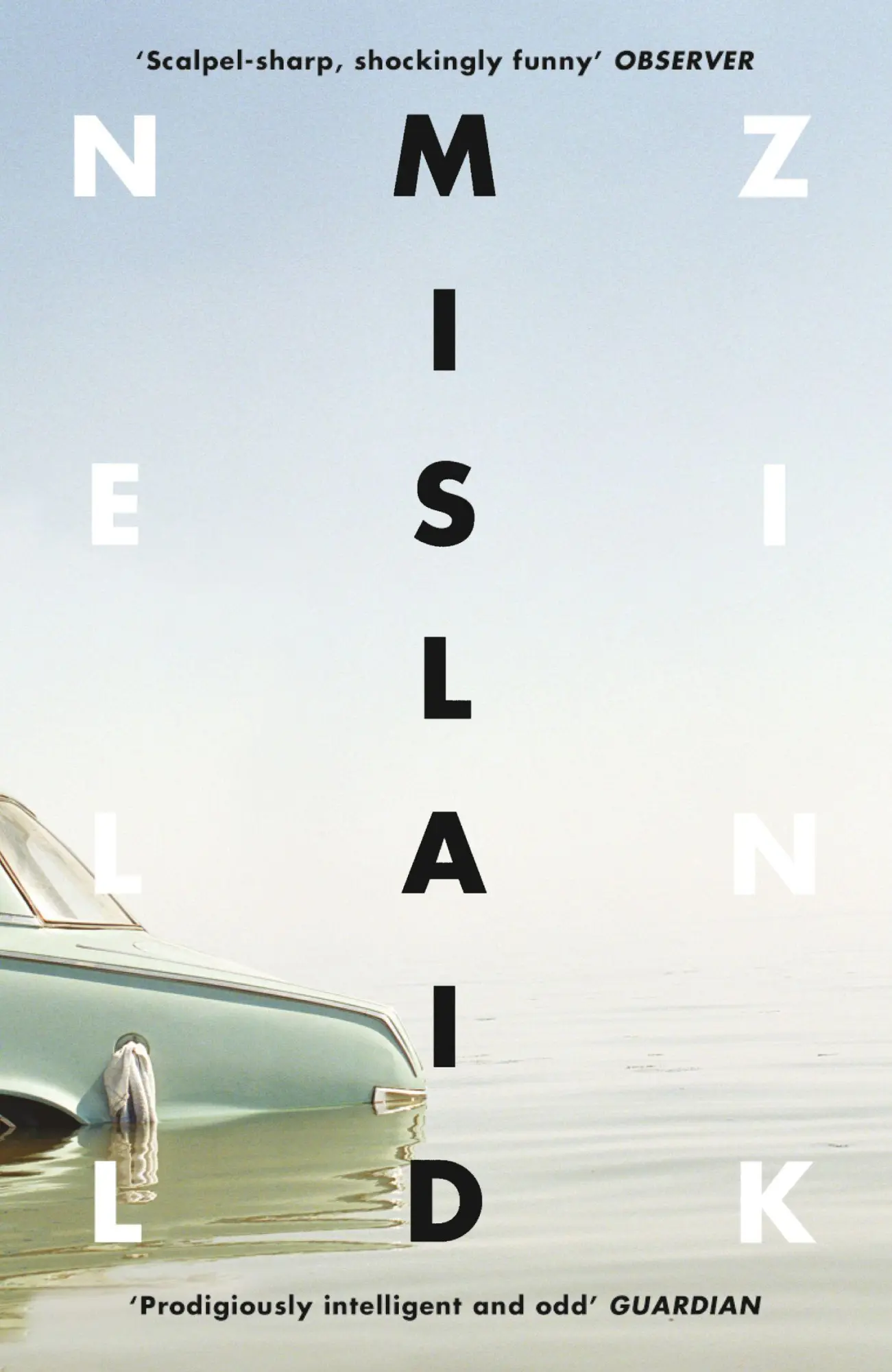 Cover: 9780008100575 | Mislaid | Nell Zink | Taschenbuch | 288 S. | Englisch | 2016