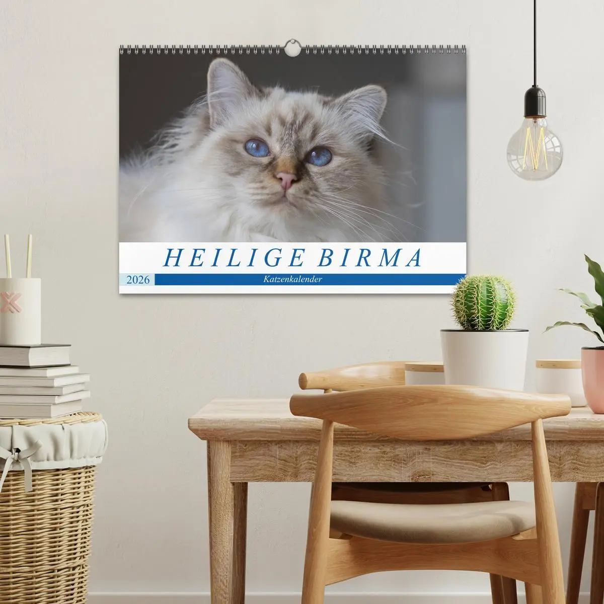 Bild: 9783516150575 | Heilige Birma Katzenkalender (Wandkalender 2026 DIN A3 quer),...