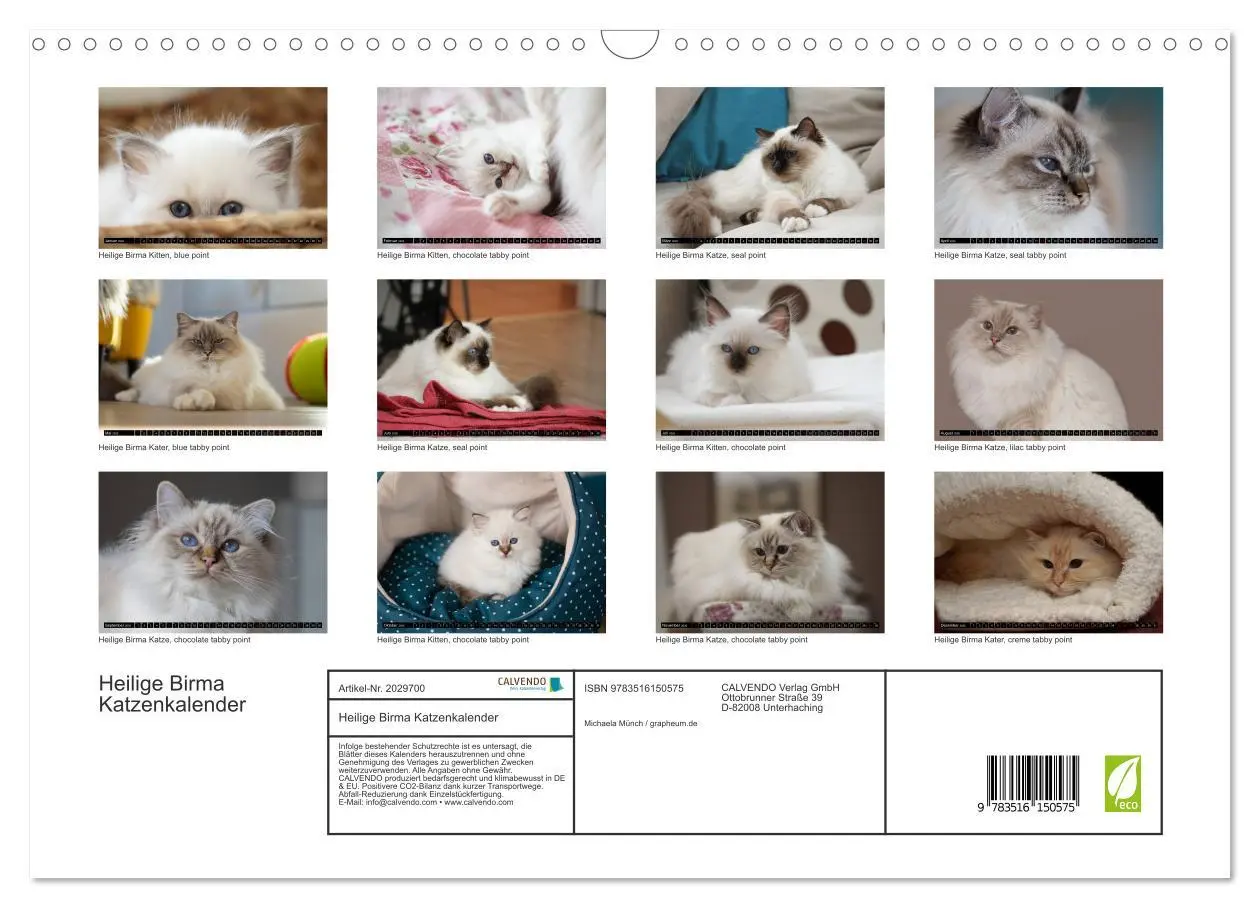 Bild: 9783516150575 | Heilige Birma Katzenkalender (Wandkalender 2026 DIN A3 quer),...