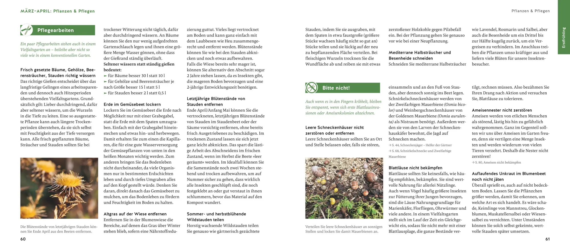 Bild: 9783833880575 | Quickfinder Artenvielfalt im Gartenjahr | Antje Arnold | Taschenbuch