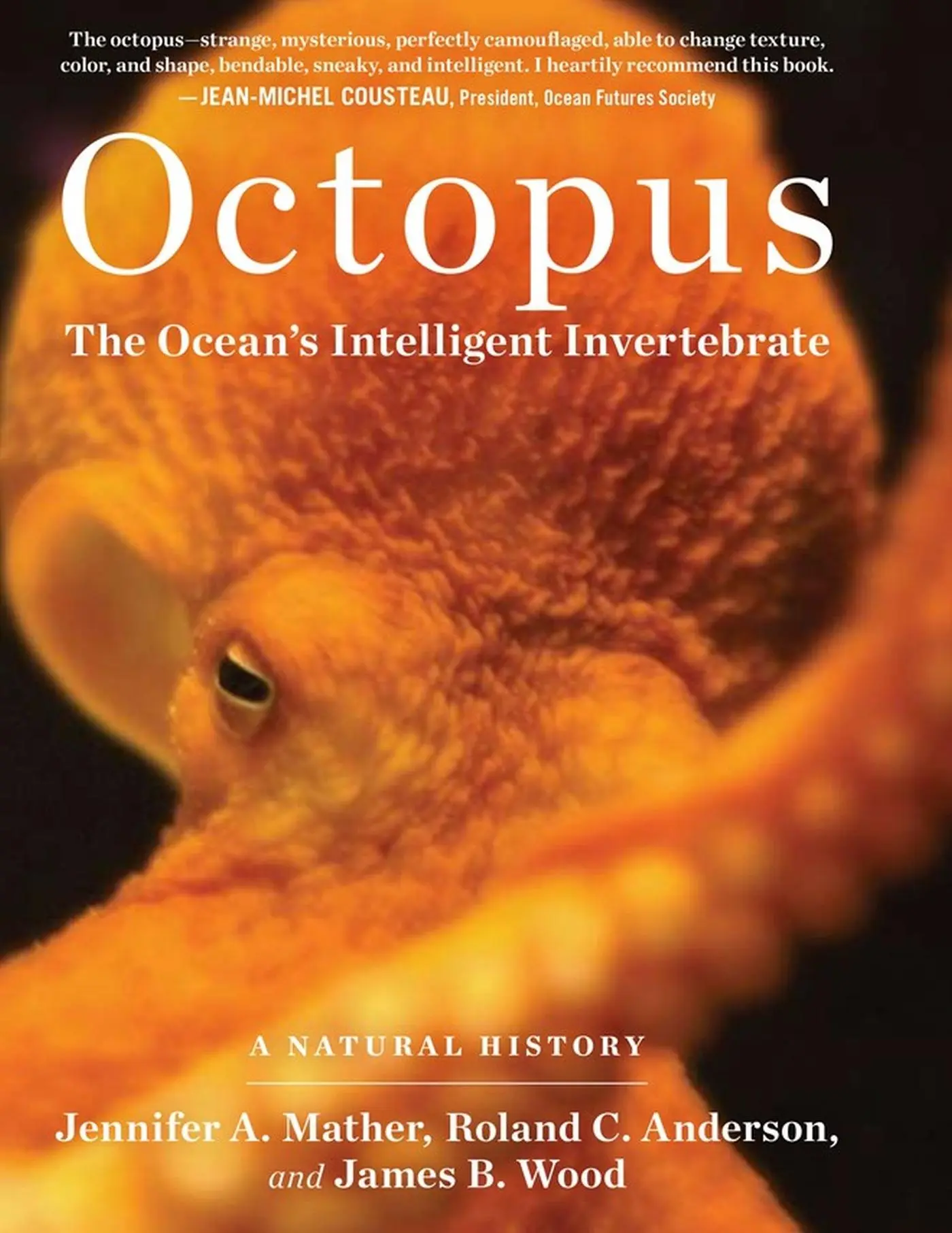 Cover: 9781604690675 | Octopus | The Ocean's Intelligent Invertebrate | Mather (u. a.) | Buch