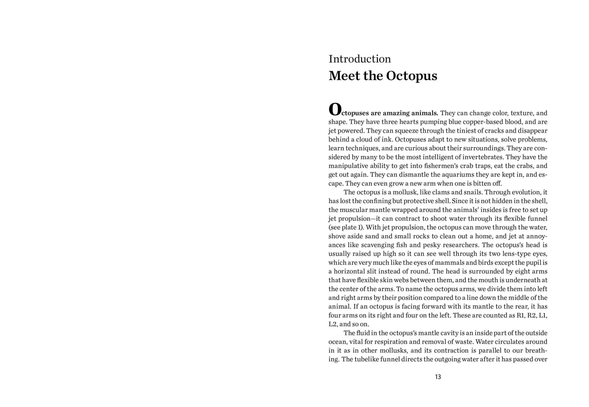 Bild: 9781604690675 | Octopus | The Ocean's Intelligent Invertebrate | Mather (u. a.) | Buch