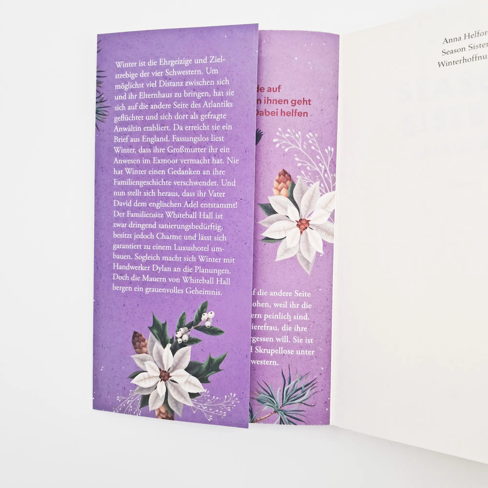 Bild: 9783423220675 | Season Sisters - Winterhoffnung | Anna Helford | Taschenbuch | 368 S.