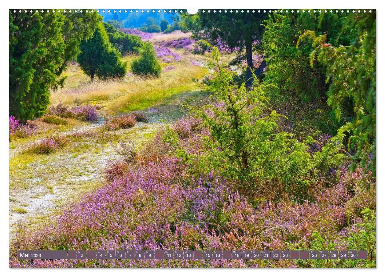 Bild: 9783457670675 | Lüneburger Heide - Wanderung rund um Wilsede und Totengrund...